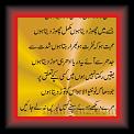 Tahalk turta hon Adim Hashmi 01 * 01.10.2012 * 389 x 668 * (60KB)